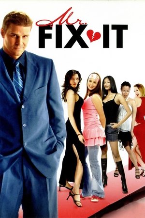 Мистер «Все исправим» (фильм, 2006)
