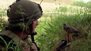 Горькое озеро (фильм, 2015)