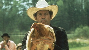 Бойцовский петух (фильм, 1974)