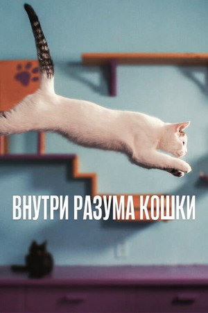 Внутри разума кошки (фильм, 2022)