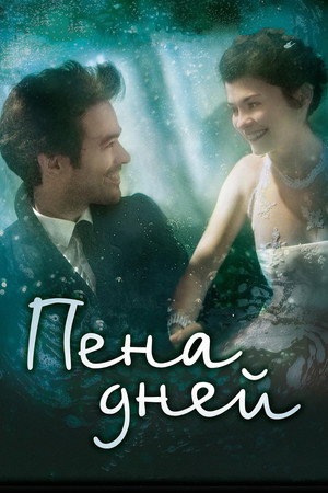 Пена дней (фильм, 2013)
