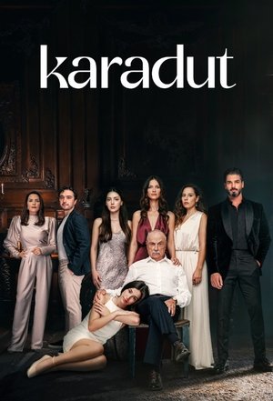 Чёрная шелковица (сериал, 2024)