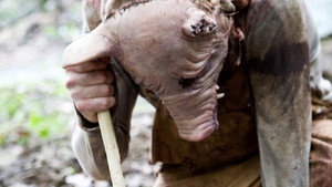Округ Мэдисон (фильм, 2011)