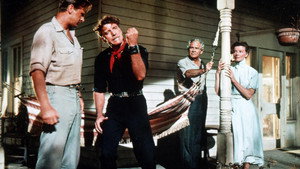 Продавец дождя (фильм, 1956)