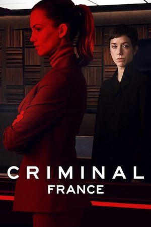 Преступник: Франция (сериал, 2019)