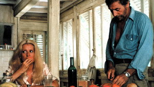 Дикарь (фильм, 1975)