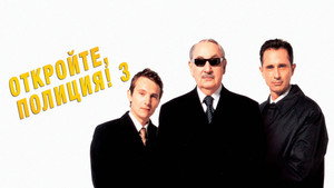Откройте, полиция! 3 (фильм, 2003)