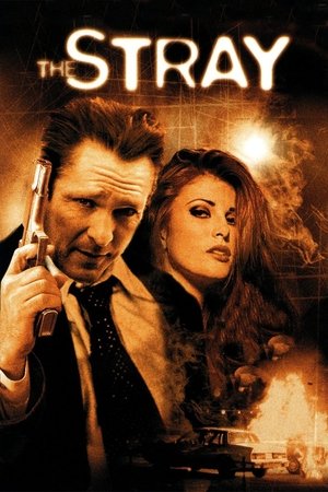 Бродяга (фильм, 2000)