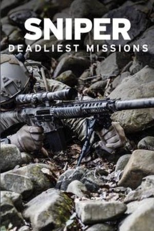 Снайпер: Самые опасные задания (фильм, 2010)
