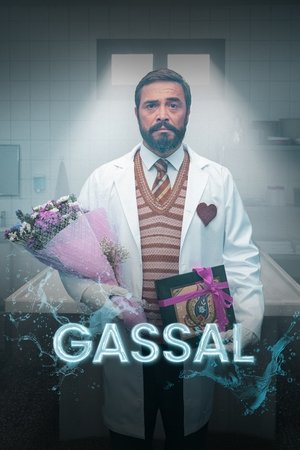 Гассал (сериал, 2024)