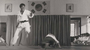Брюс Ли возвращается (фильм, 1976)