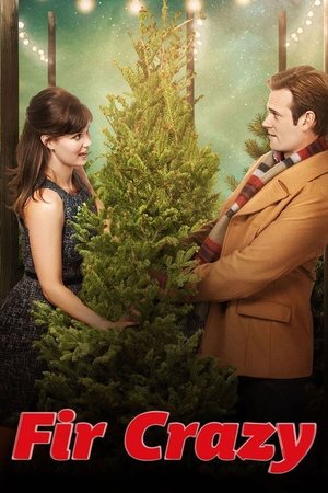 Пихтовое сумасшествие (фильм, 2013)