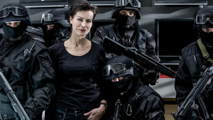 Инстинкт (сериал, 2011)