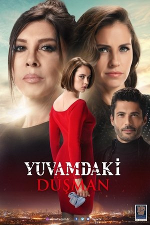 Враг в моём доме (сериал, 2018)