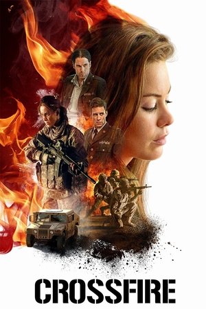 Перекрестный огонь (фильм, 2016)
