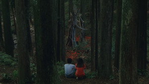 Августовская рапсодия (фильм, 1991)