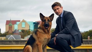 Хадсон и Рекс (сериал, 2019)