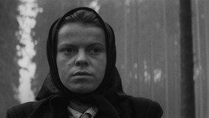 Повозка в Вену (фильм, 1966)