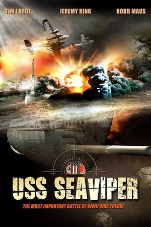 Военный корабль США — Морская гадюка (фильм, 2012)