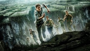 Бегущий в лабиринте (фильм, 2014)