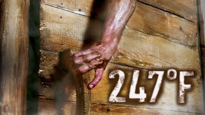 247 градусов по Фаренгейту (фильм, 2011)