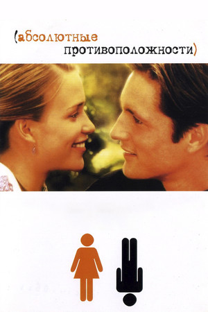 Абсолютные противоположности (фильм, 2004)