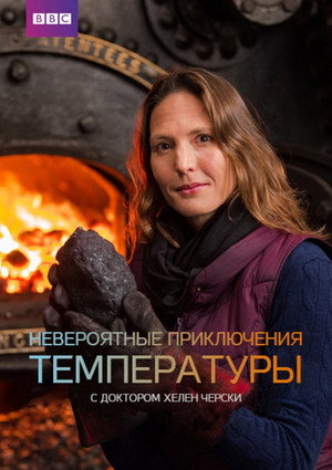 Невероятные приключения температуры (сериал, 2017)