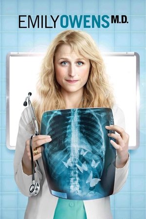 Доктор Эмили Оуэнс (сериал, 2012)