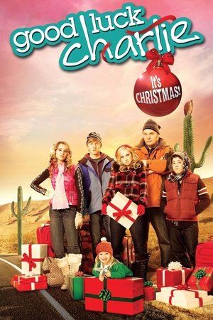Держись, Чарли, это Рождество! (фильм, 2011)