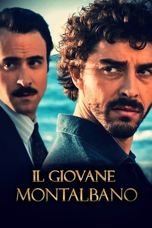 Молодой Монтальбано (сериал, 2012)