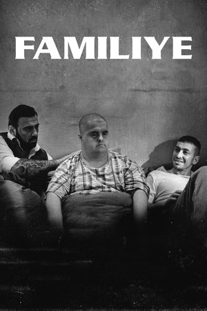 Семейство (фильм, 2017)