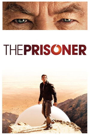Заключенный (сериал, 2009)
