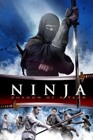 Ниндзя 2 (фильм, 2013)