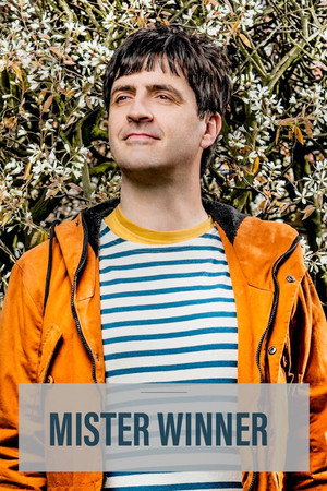 Мистер Виннер (сериал, 2020)