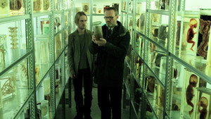 Трясина (фильм, 2006)
