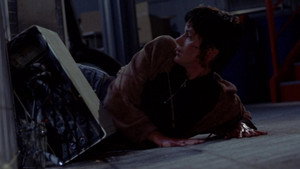 Лучший друг человека (фильм, 1993)