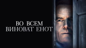 Во всем виноват енот (фильм, 2016)