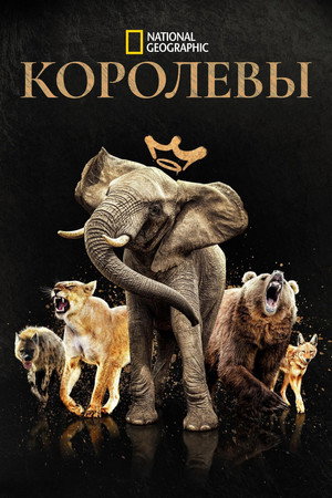 Королевы (сериал, 2024)