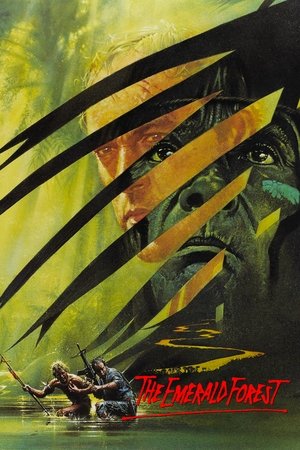 Изумрудный лес (фильм, 1985)