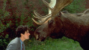 Северная сторона (сериал, 1990)