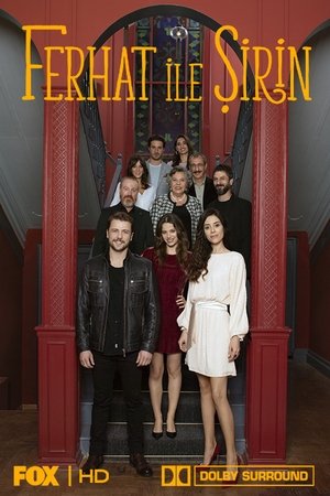 Ферхат и Ширин (сериал, 2019)