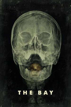 Залив (фильм, 2012)