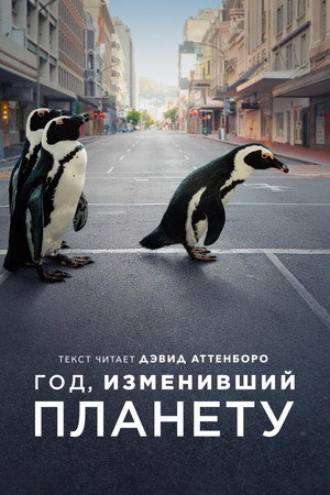 Год, когда Земля изменилась (фильм, 2021)