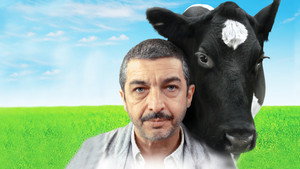 Китайская сказка (фильм, 2011)