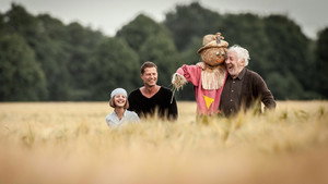 Мёд в голове (фильм, 2014)