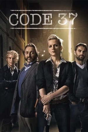 Код 37: Отдел секс-преступлений (сериал, 2009)