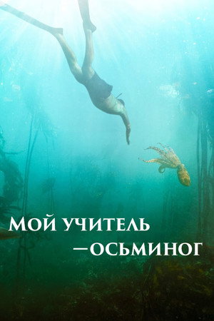 Мой учитель-осьминог (фильм, 2020)