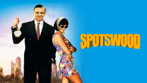 Эксперт (фильм, 1991)