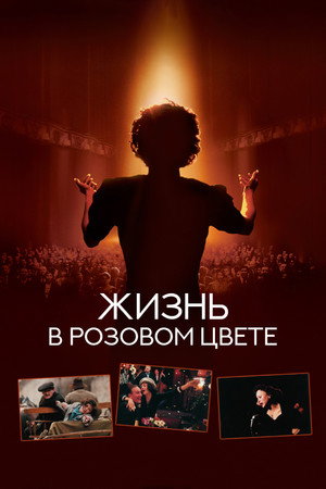 Жизнь в розовом цвете (фильм, 2007)
