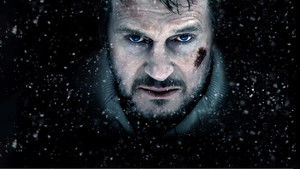 Схватка (фильм, 2011)